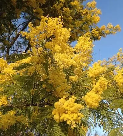 2 Personnes Dans Notre Maison Girondine Nocleg ze śniadaniem